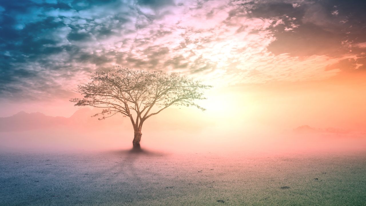Metaphysics: The Study of Being, Becoming and Existence in General