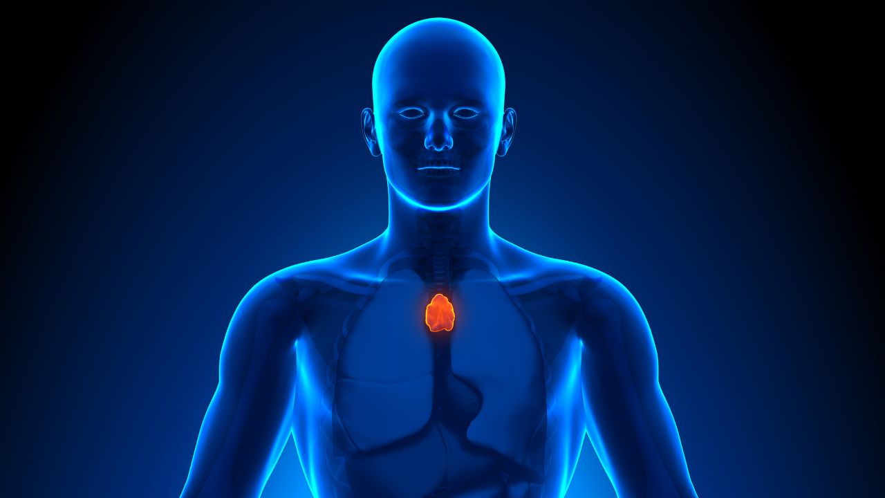 Thymus Tonic Attunement