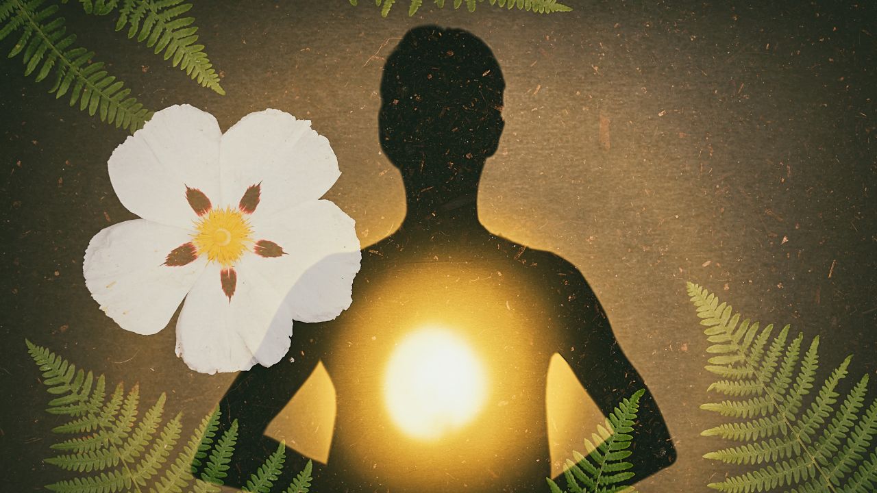 Heart Chakra Maintenance Attunement